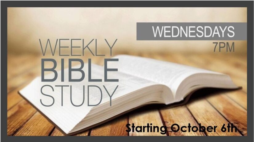 Weekly Bible Study